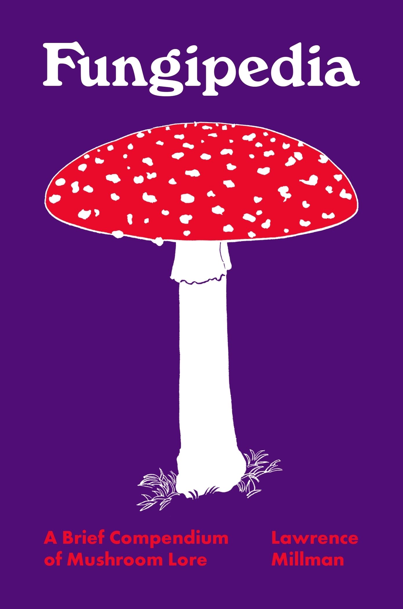 洋書 British Fungi by M. C. Cooke Mycologists and fabulous fungi: colour illustrations | Latest News